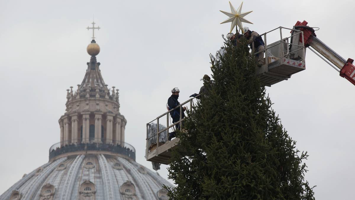 Burza wokół choinki dla papieża. Ekolodzy i mieszkańcy Trydentu napisali petycję