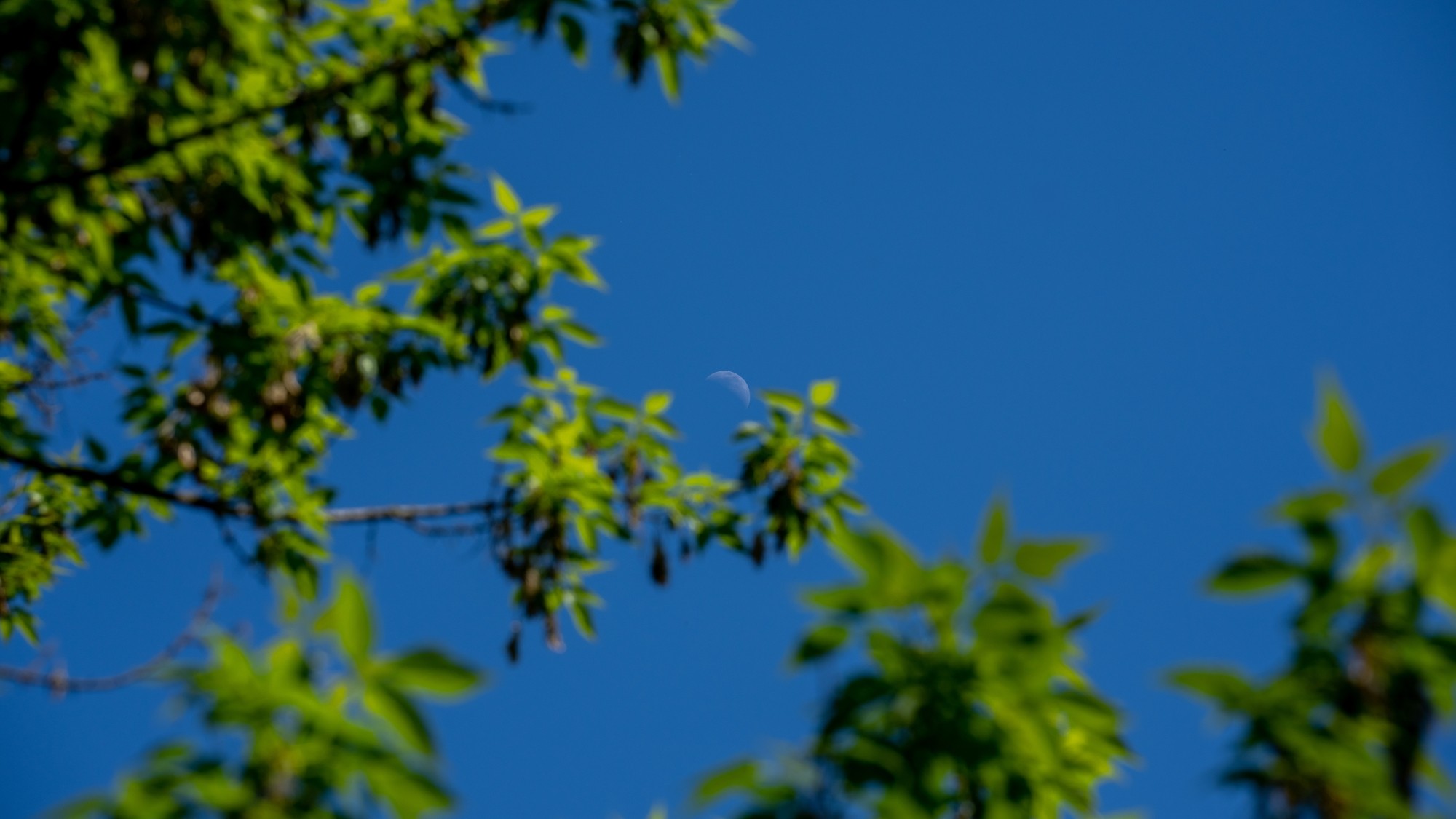 Wiosenna opowieść - zdjęcie 40