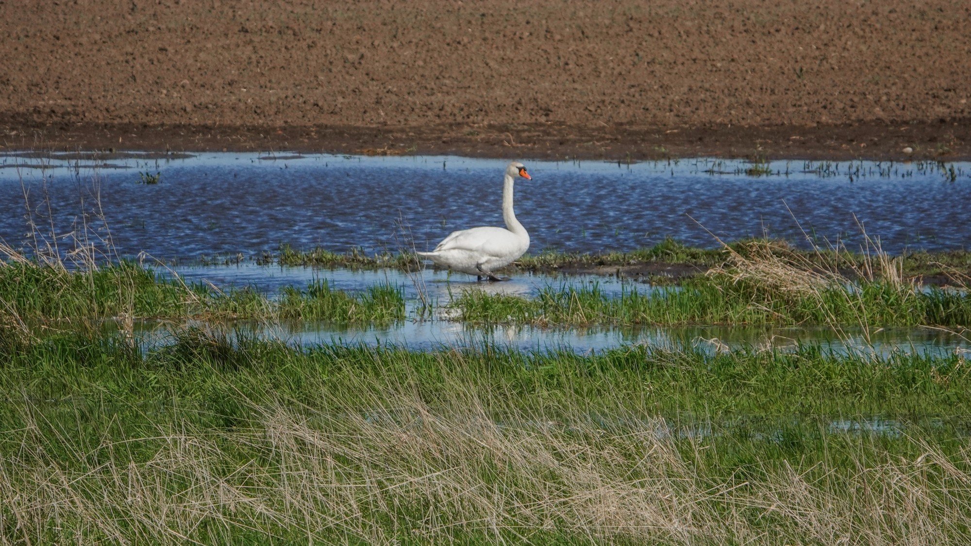 W maju jak w raju - zdjęcie 32