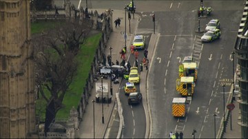 Ekspert o ataku w Londynie: raczej nie był to element większego spisku