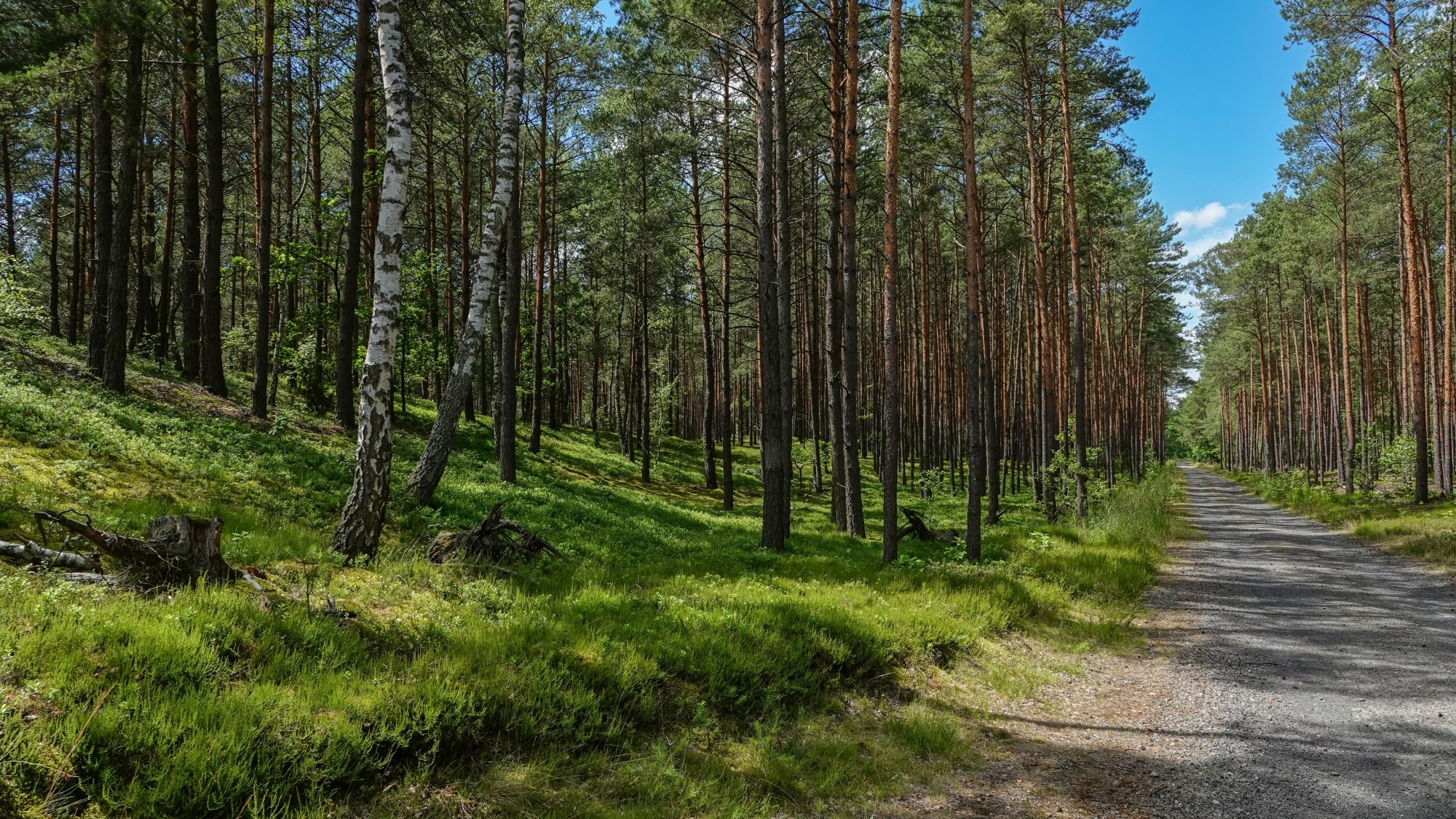 Letnie klimaty na łonie natury - zdjęcie 42