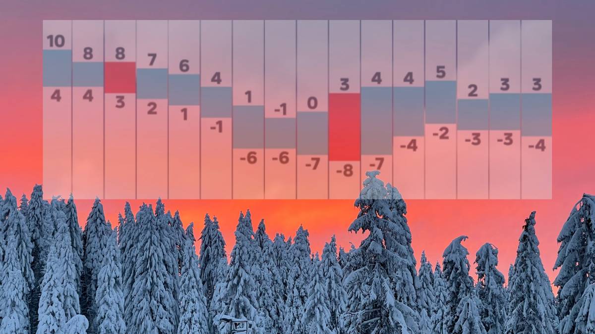 Wykres słupkowy pokazujący prognozowane temperatury w grudniu, z zaznaczonymi wartościami ujemnymi i dodatnimi, na tle zimowego lasu i nieba.
