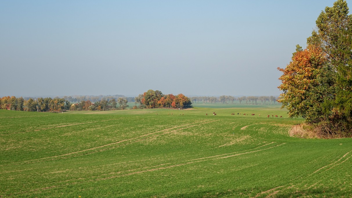 Jesienne krajobrazy za miastem - zdjęcie 66