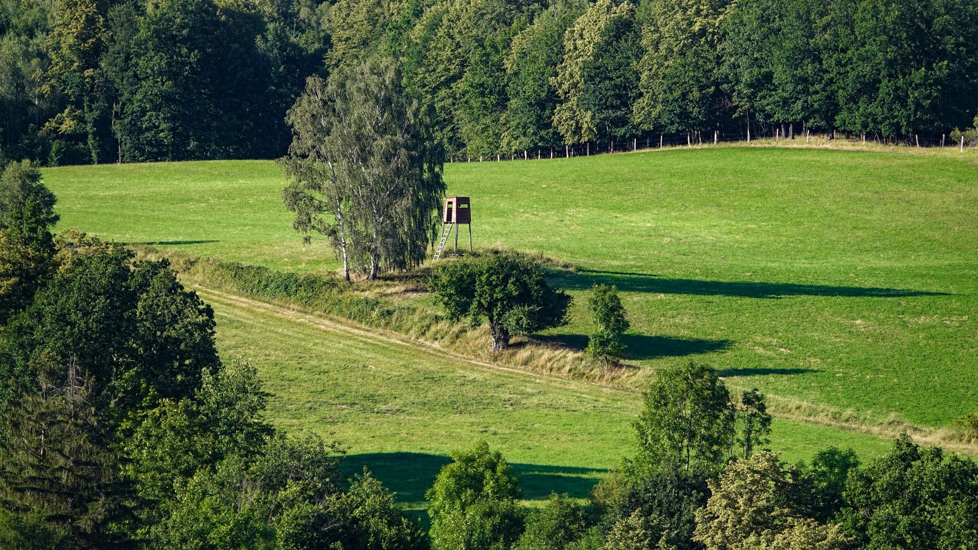 Środek lata w plenerze - zdjęcie 37