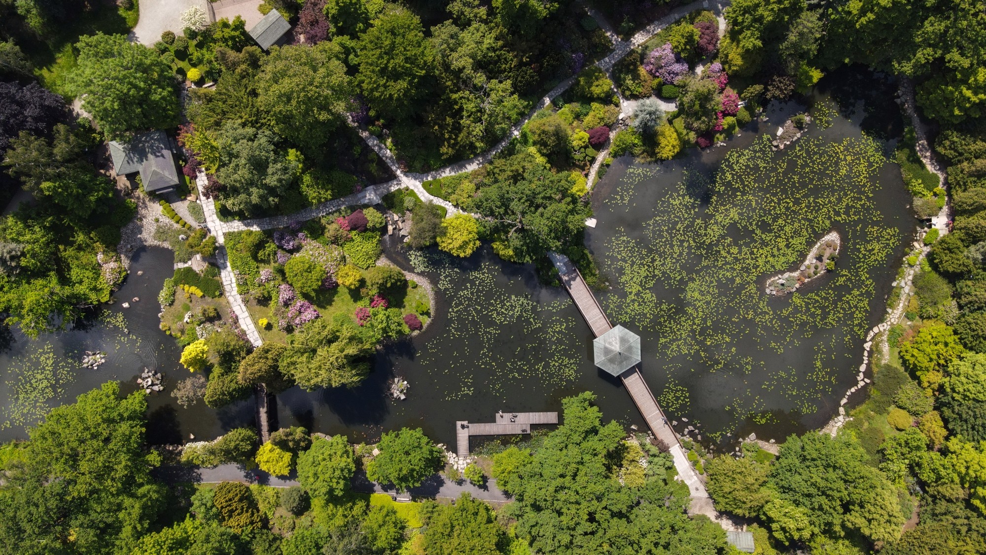 Piękne letnie krajobrazy z lotu ptaka - zdjęcie 17