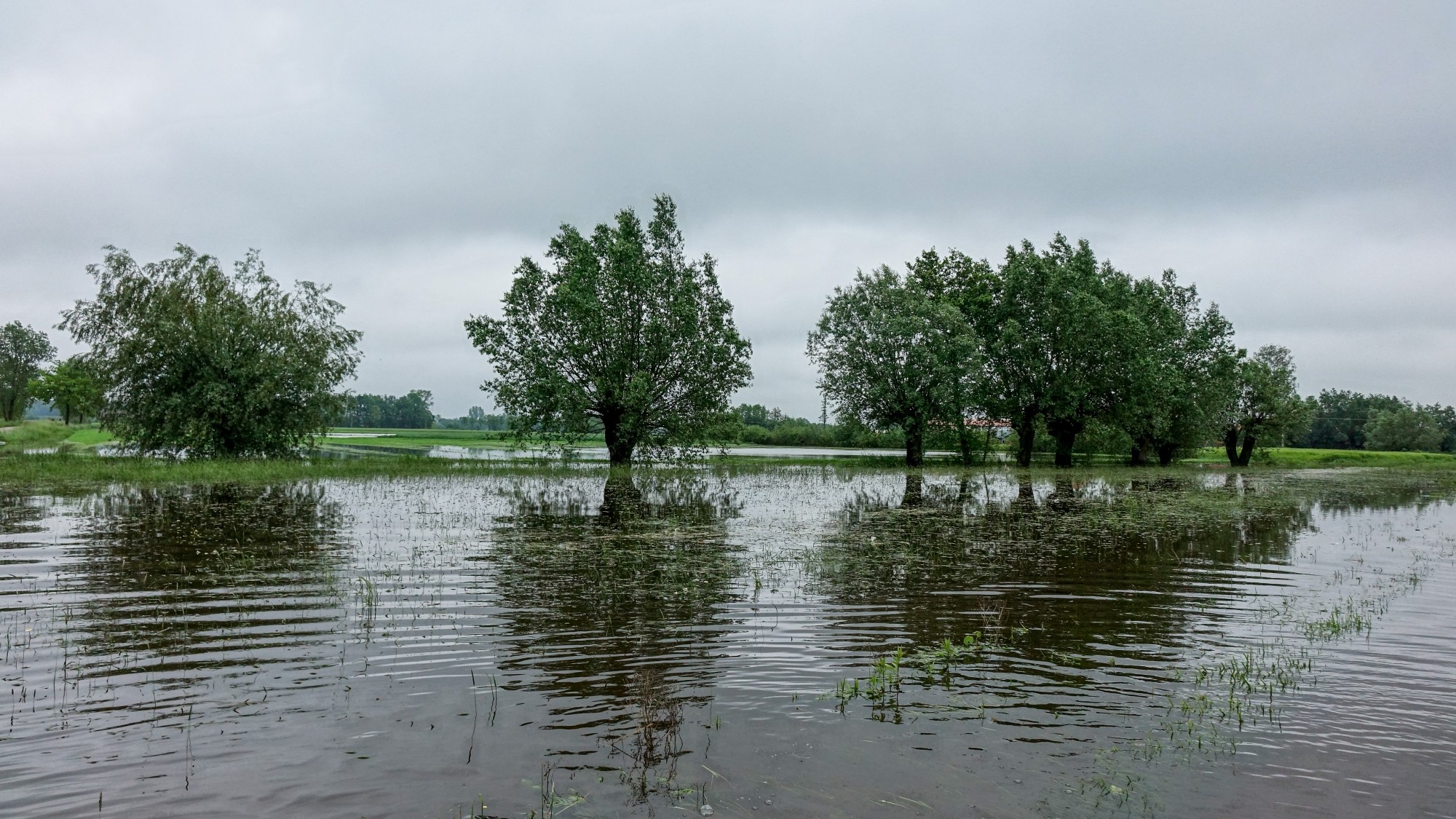Majowa powódź w Polsce - zdjęcie 56