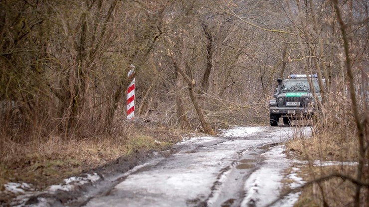 Granica z Białorusią. Grupa migrantów chciała przekroczyć granicę przy pomocy drabiny