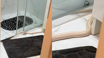 Jasny, długi wąż pełzający po podłodze łazienki obok czarnej maty.