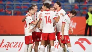 Polska - Nowa Zelandia na żywo. Relacja live i wynik online