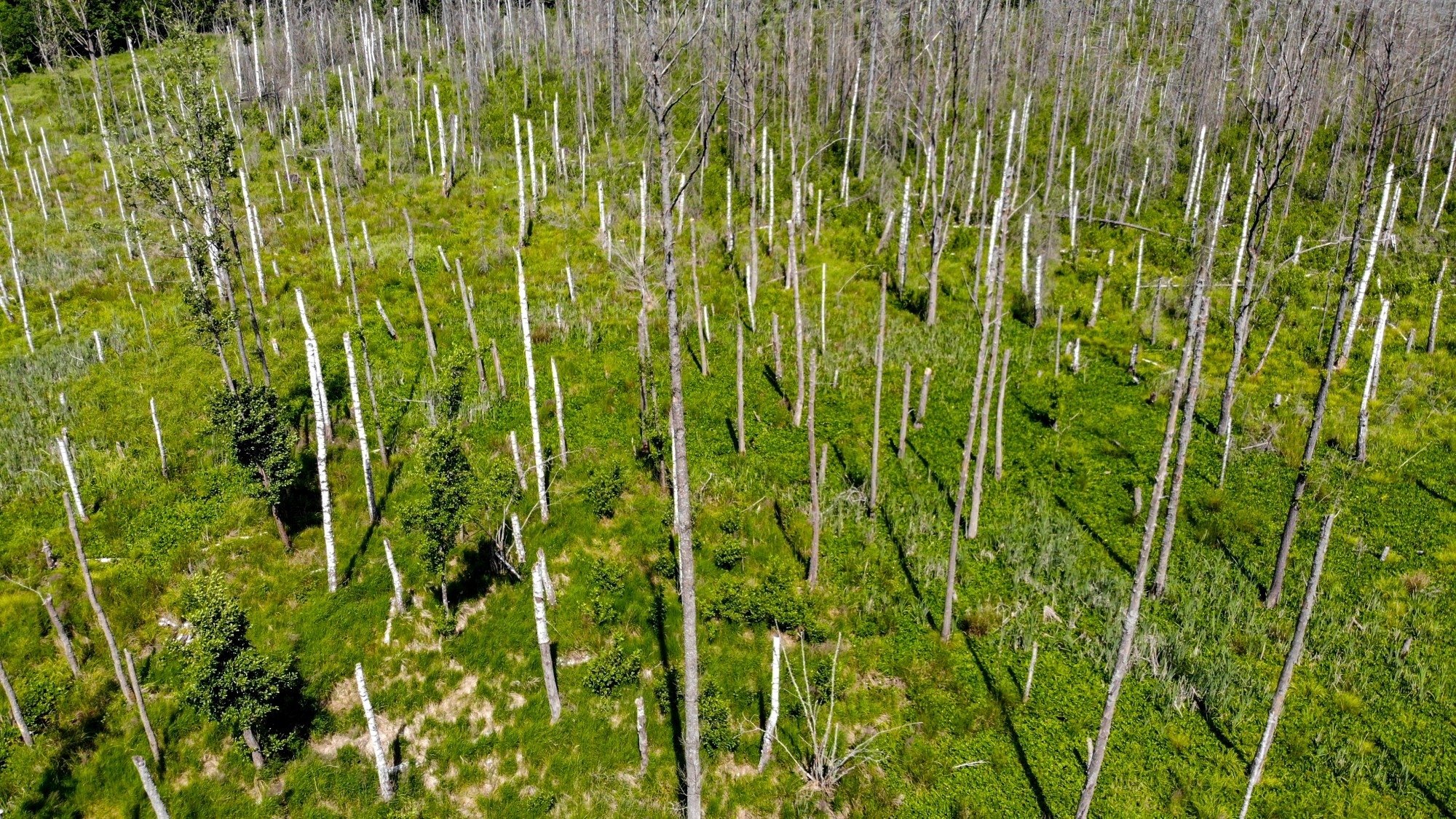 Niesamowita Polska z lotu ptaka - zdjęcie 29