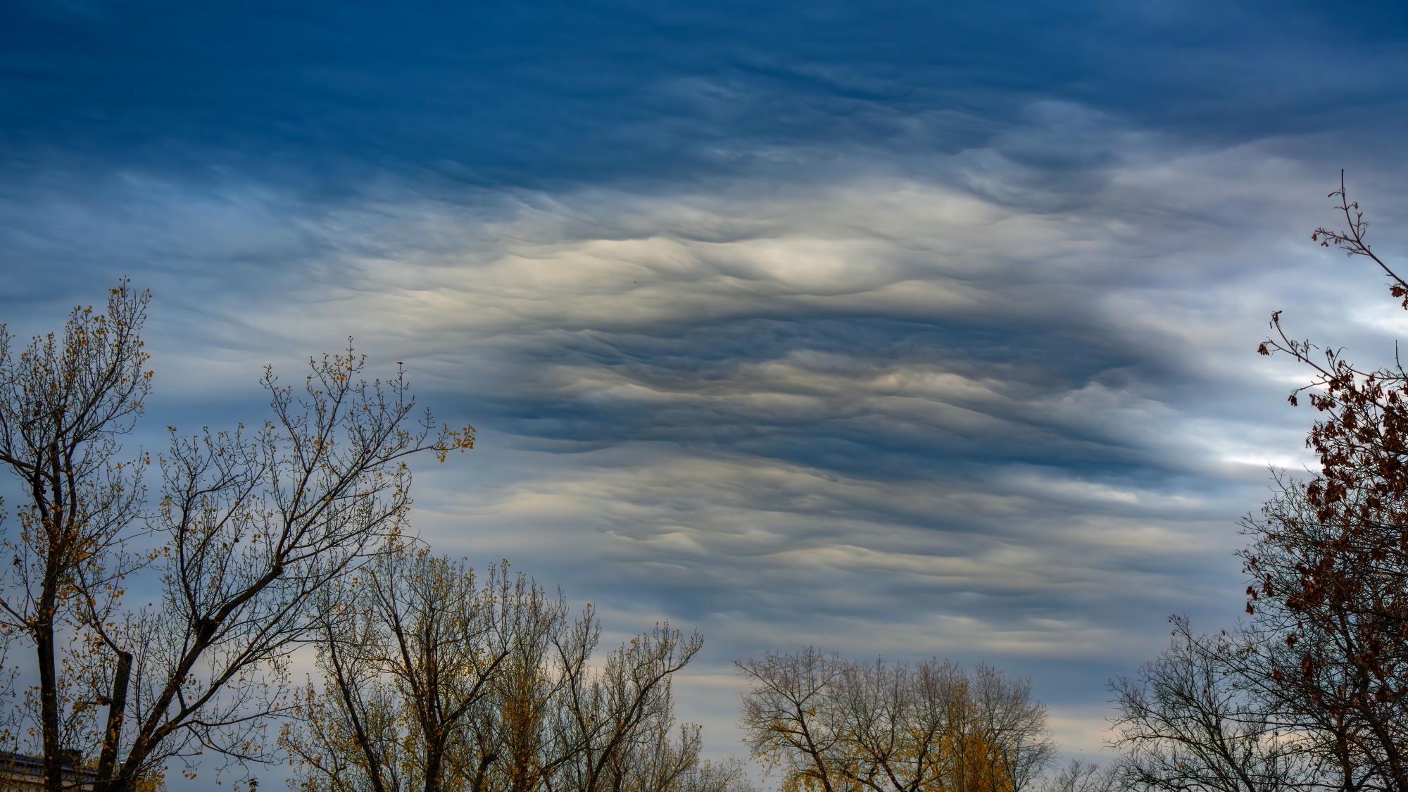 Piękny listopad - zdjęcie 5
