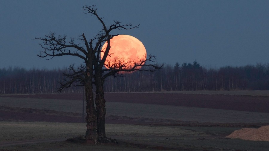 Zachodzący Księżyc w pełni. Fot. Witek Ochał / TwojaPogoda.pl