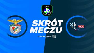 Logo Benfiki Lizbona po lewej stronie, logo Igor Gorgonzola Novara po prawej. Pośrodku napis "SKR&Oacute;T MECZU" i logo "CEV".