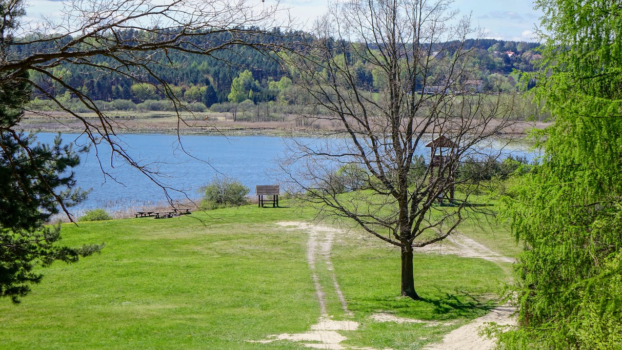 Maj w obiektywie - zdjęcie 27