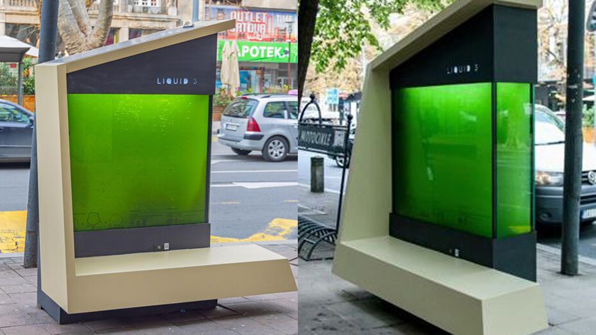 Tajemnicze kontenery na ulicach Belgradu. Badacze stworzyli "płynne drzewa"