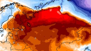 24.01.2021 09:00 Wiosna w samym środku zimy. W europejskiej części Rosji pierwsza odwilż od ponad miesiąca