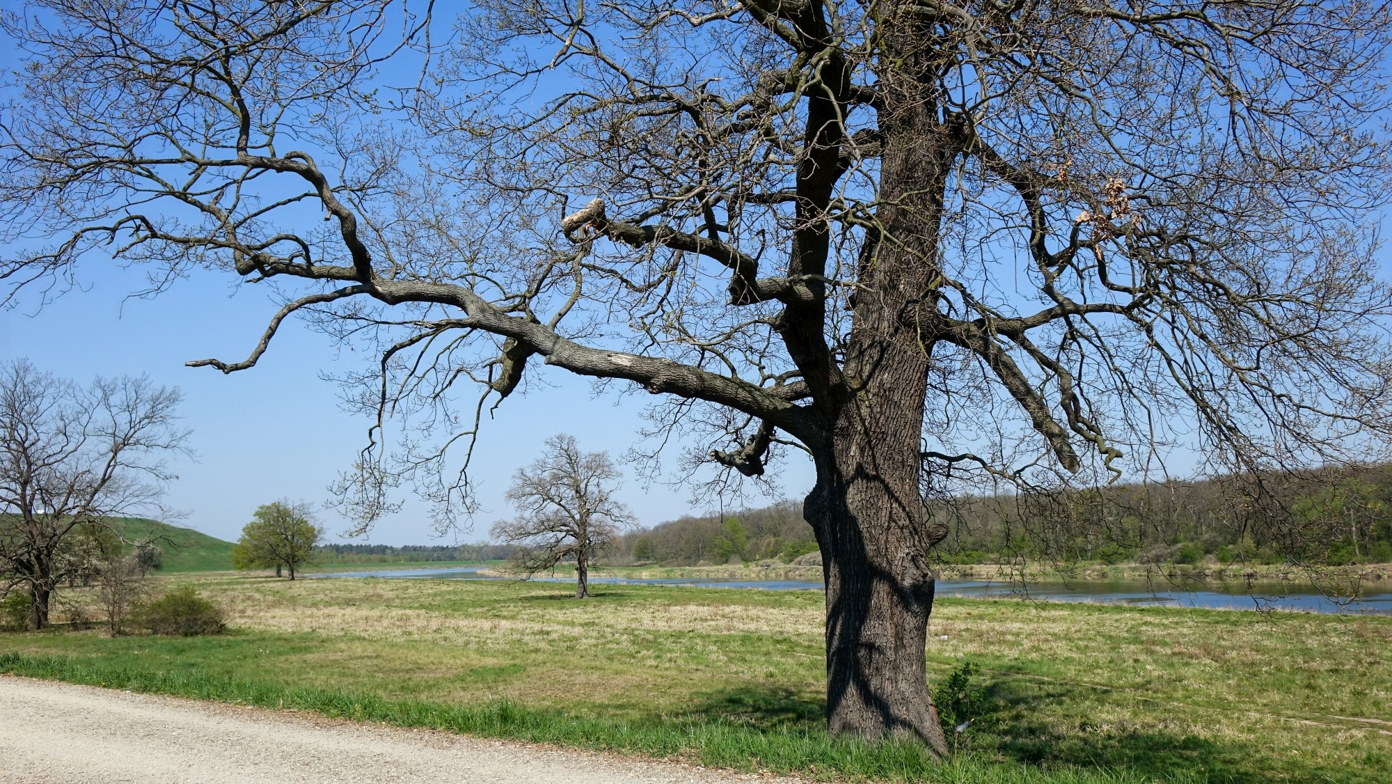 Kwiecień w obiektywie - zdjęcie 31