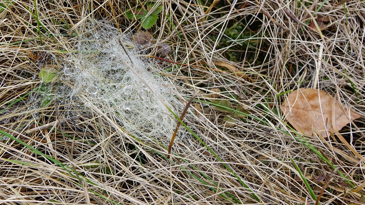 Styczeń w obiektywie - zdjęcie 42