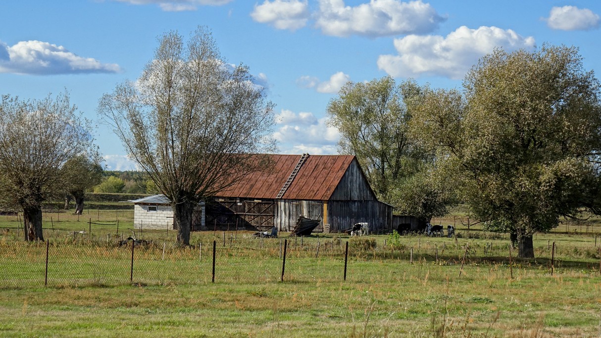 Wrzesień w obiektywie - zdjęcie 43