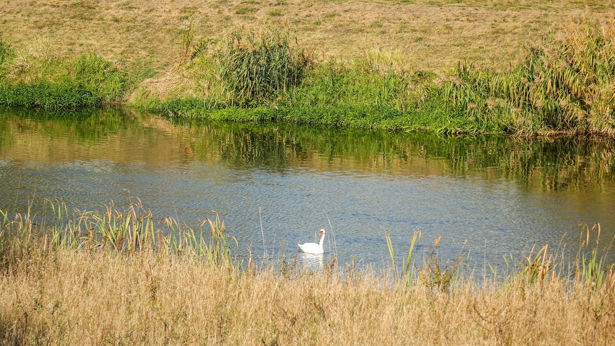 Jesienne krajobrazy za miastem - zdjęcie 24