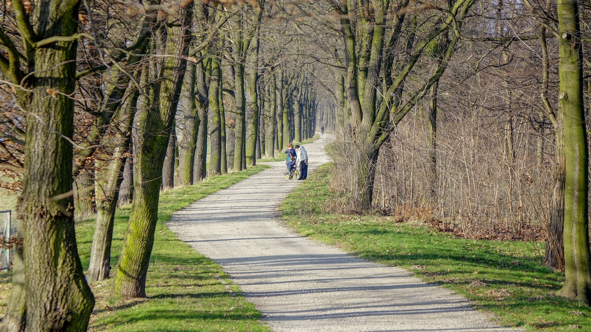 Urocze zakątki w lasach - zdjęcie 12