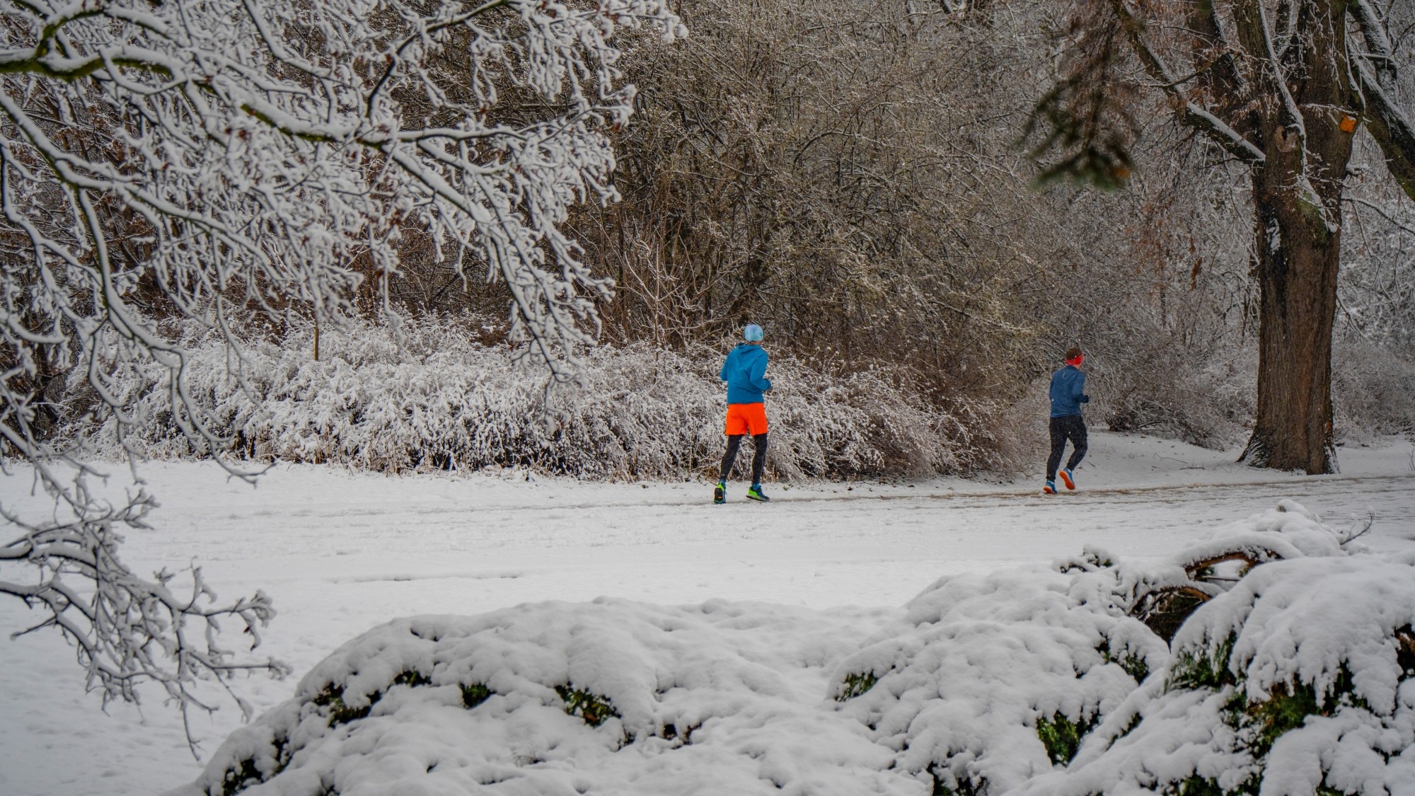 Różne oblicza zimy - zdjęcie 35