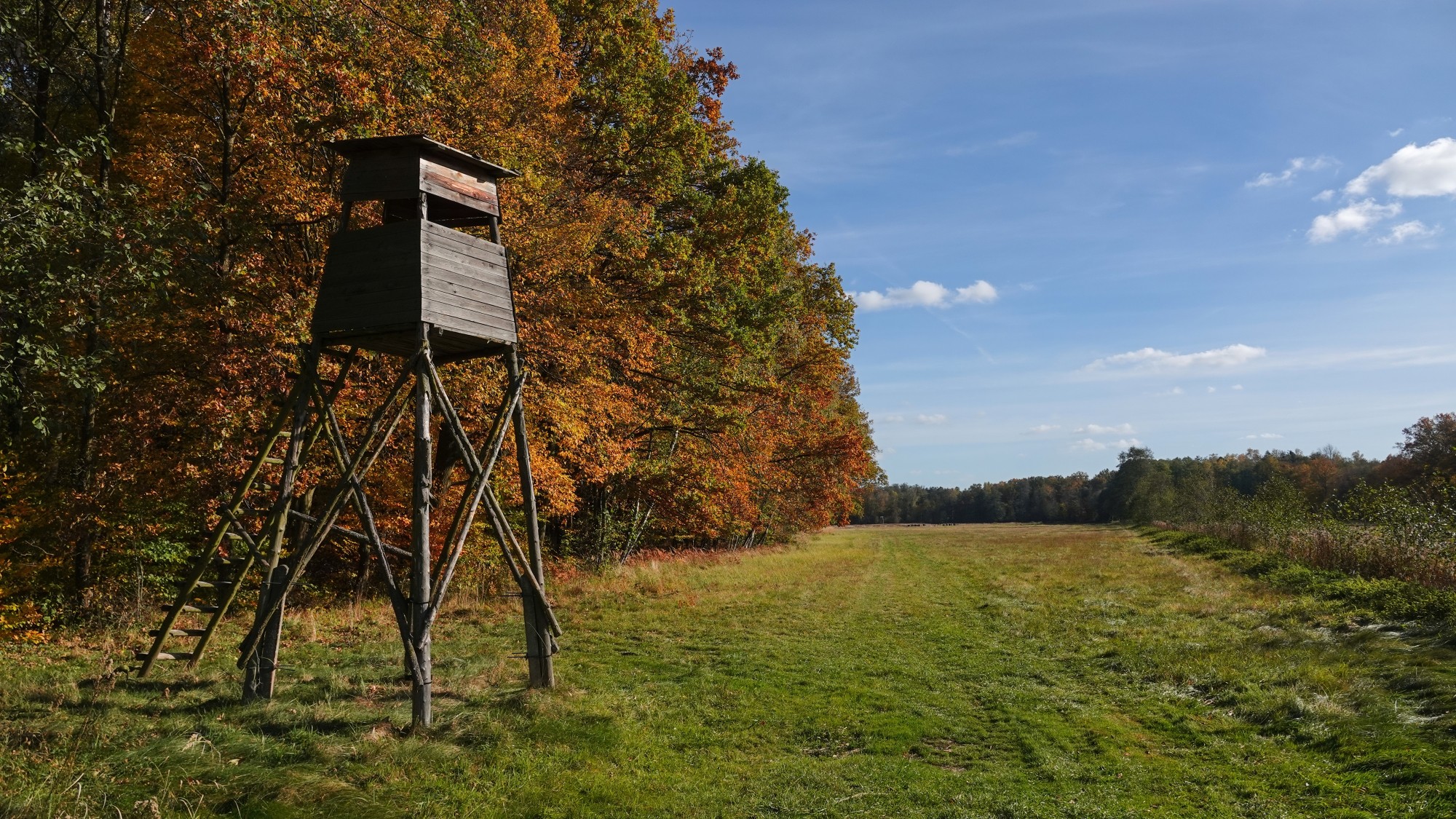 Jesienne klimaty - zdjęcie 15