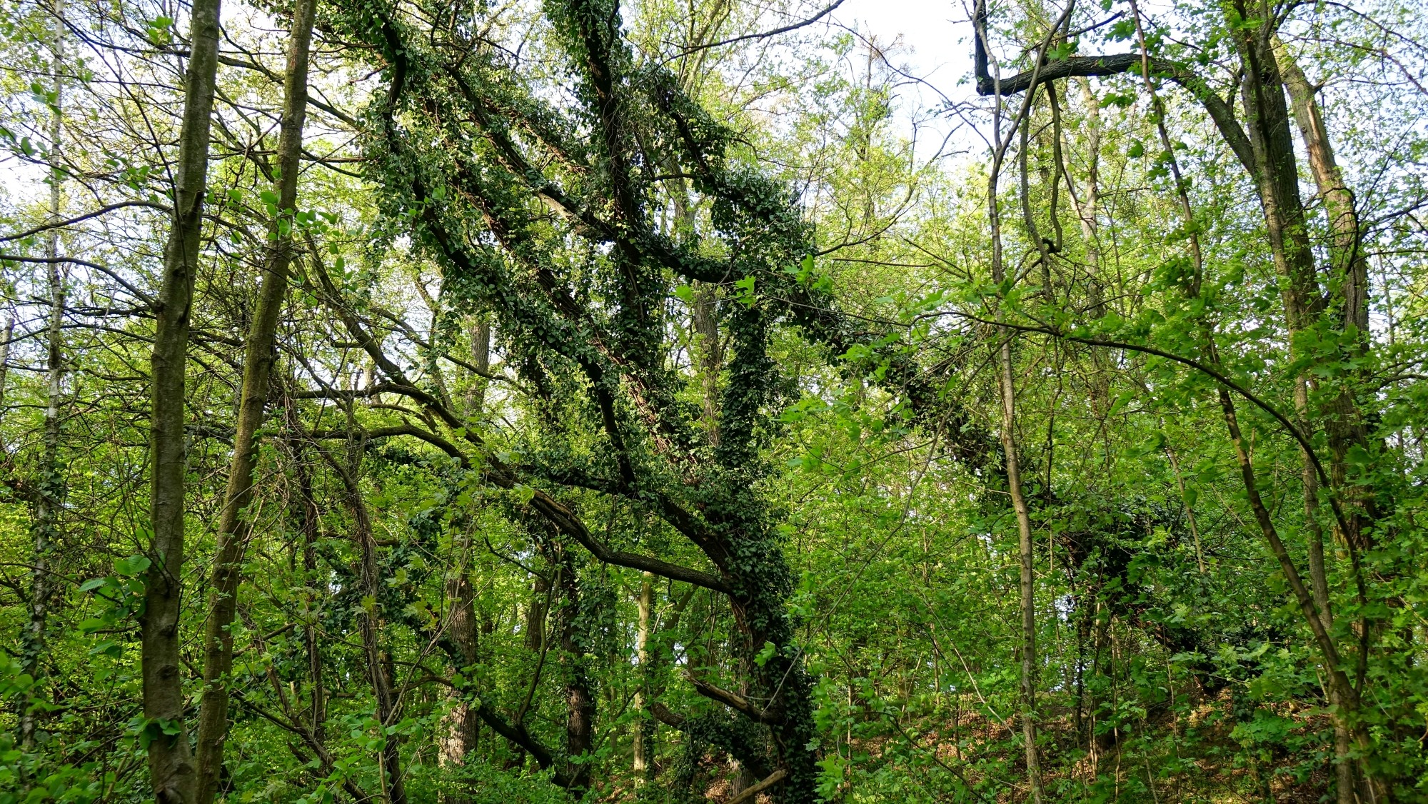 Kwiecień w obiektywie - zdjęcie 49