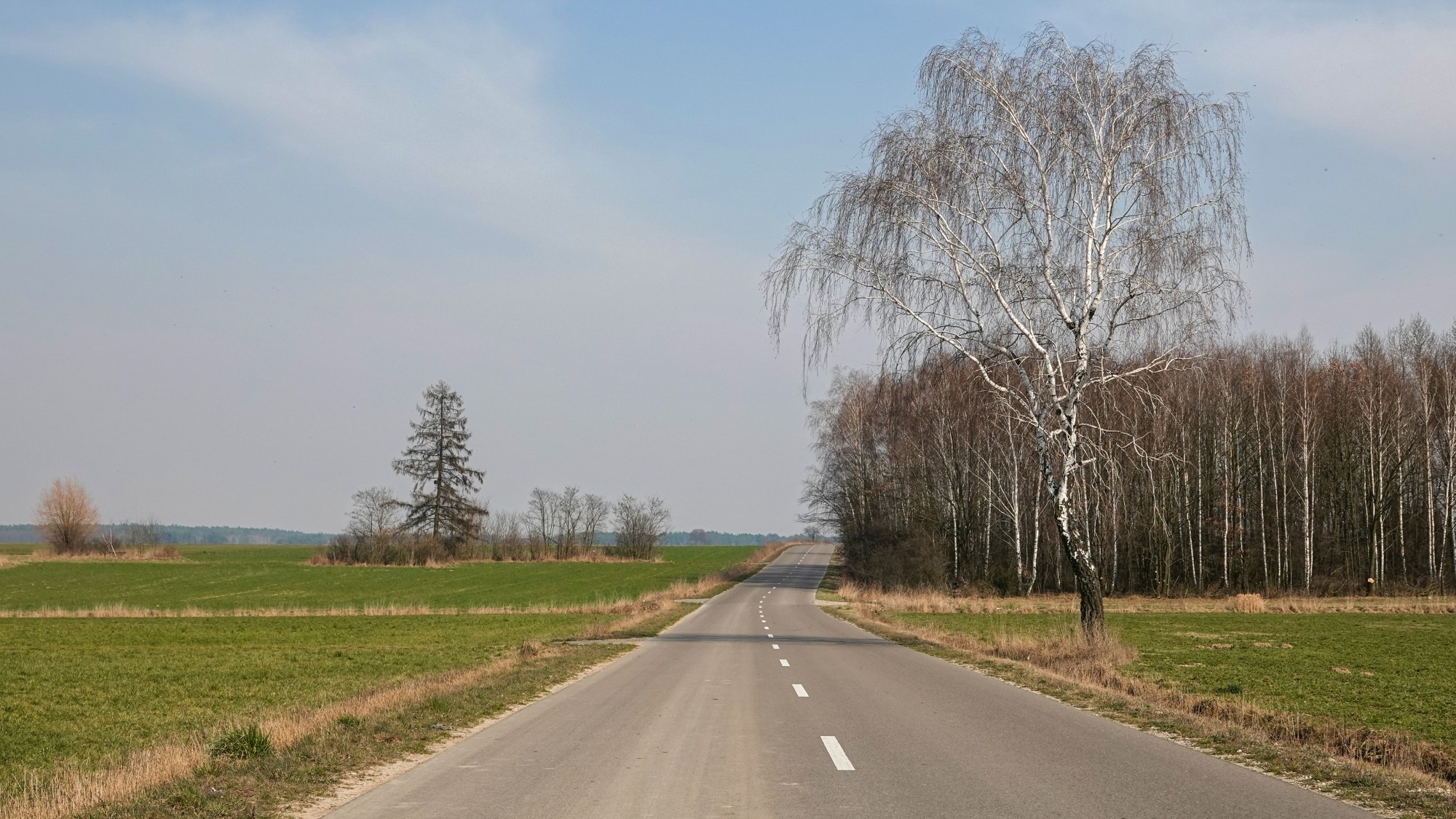 Marzec w obiektywie - zdjęcie 61