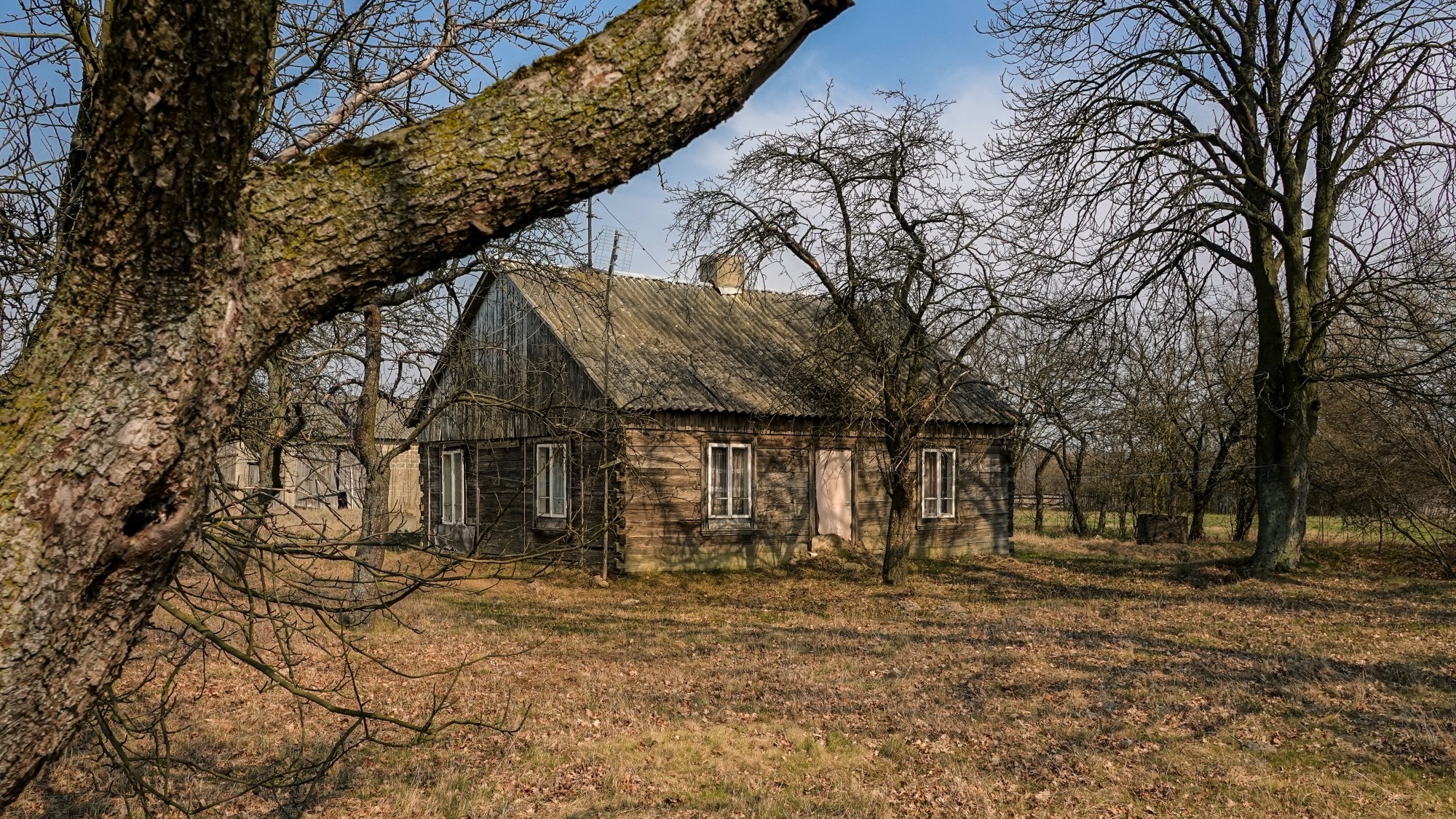 Marzec w obiektywie - zdjęcie 28