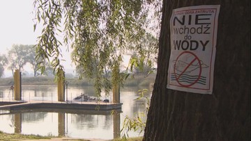 Turyści nie chcą przyjeżdżać nad Odrę. Boją się 