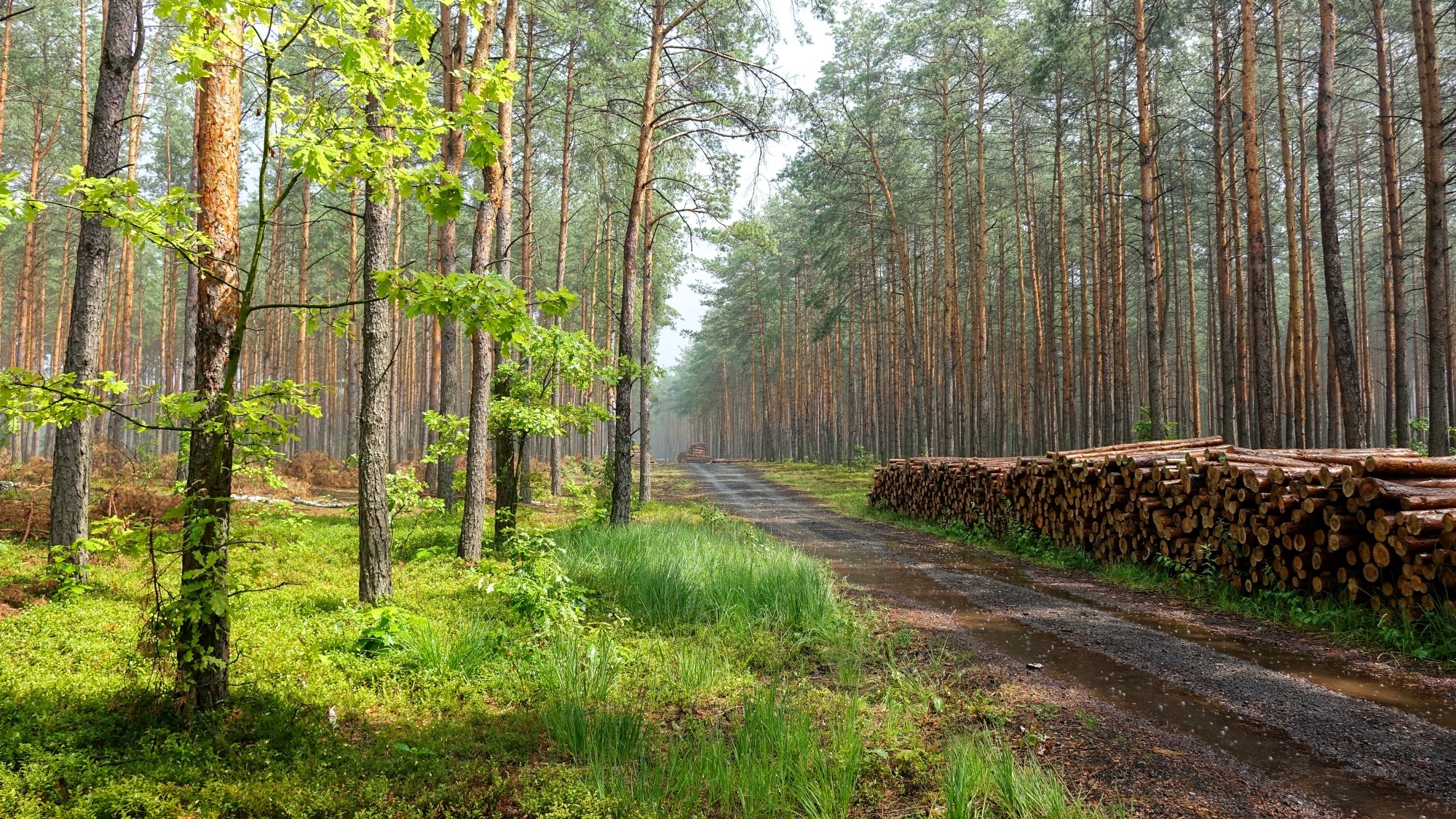 Lipiec w obiektywie - zdjęcie 7