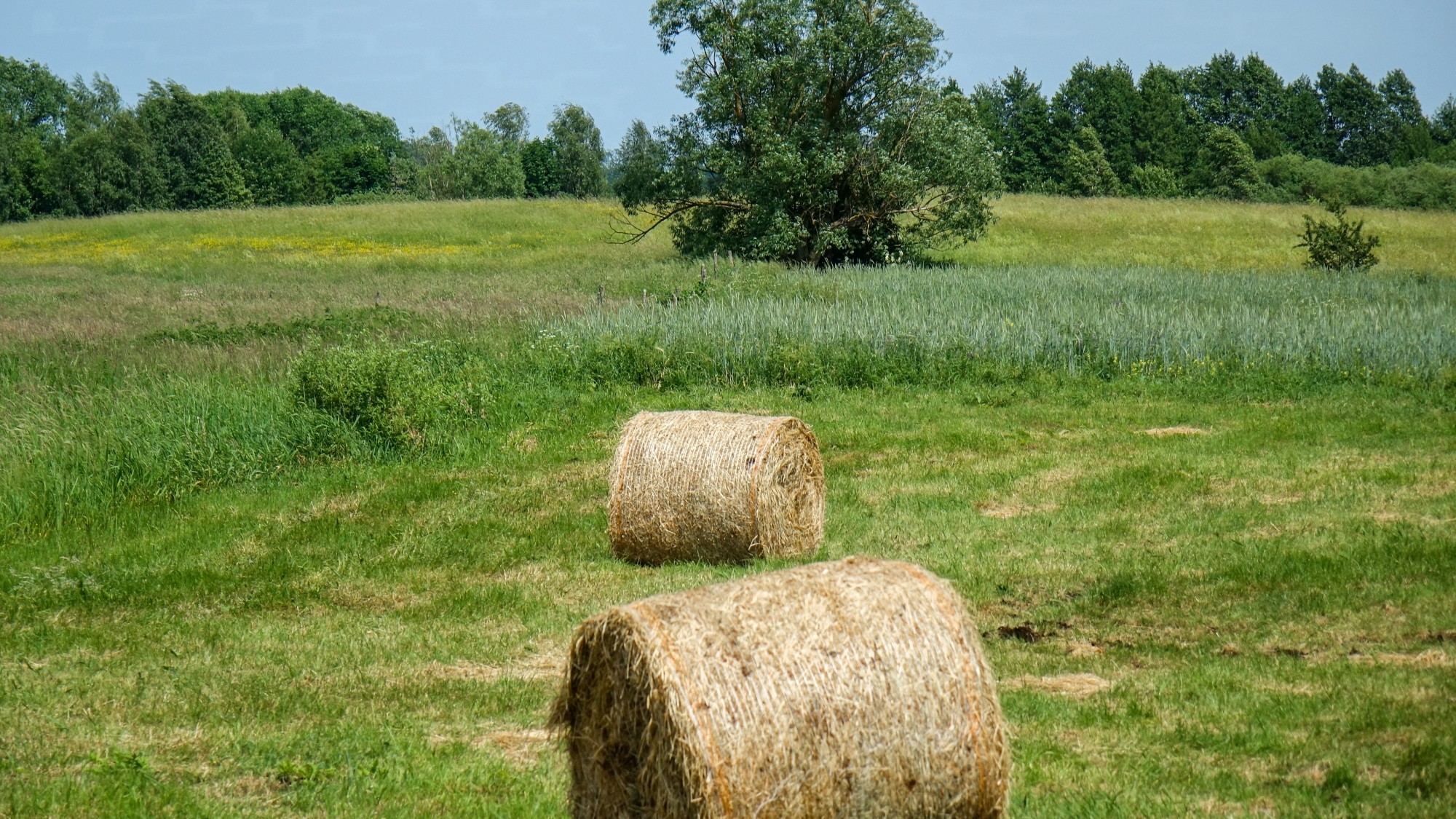 Uroki lata za miastem - zdjęcie 11
