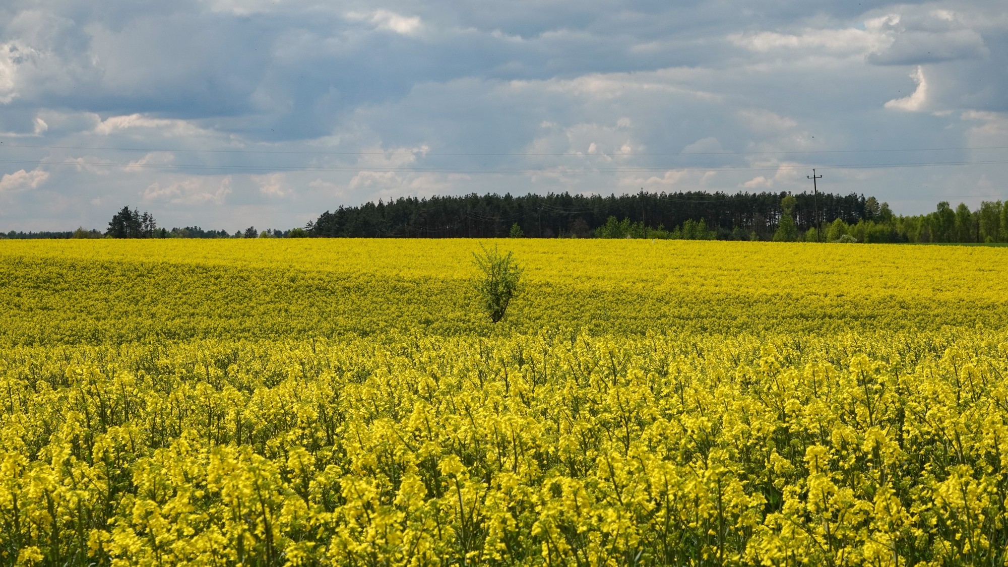 Kwiecień w obiektywie - zdjęcie 42