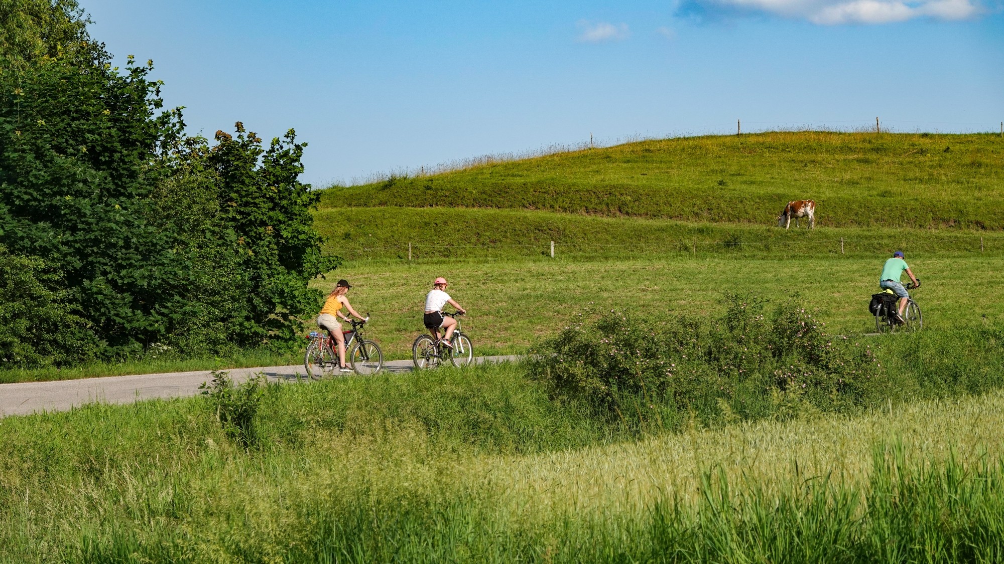 Letnie klimaty na łonie natury - zdjęcie 33