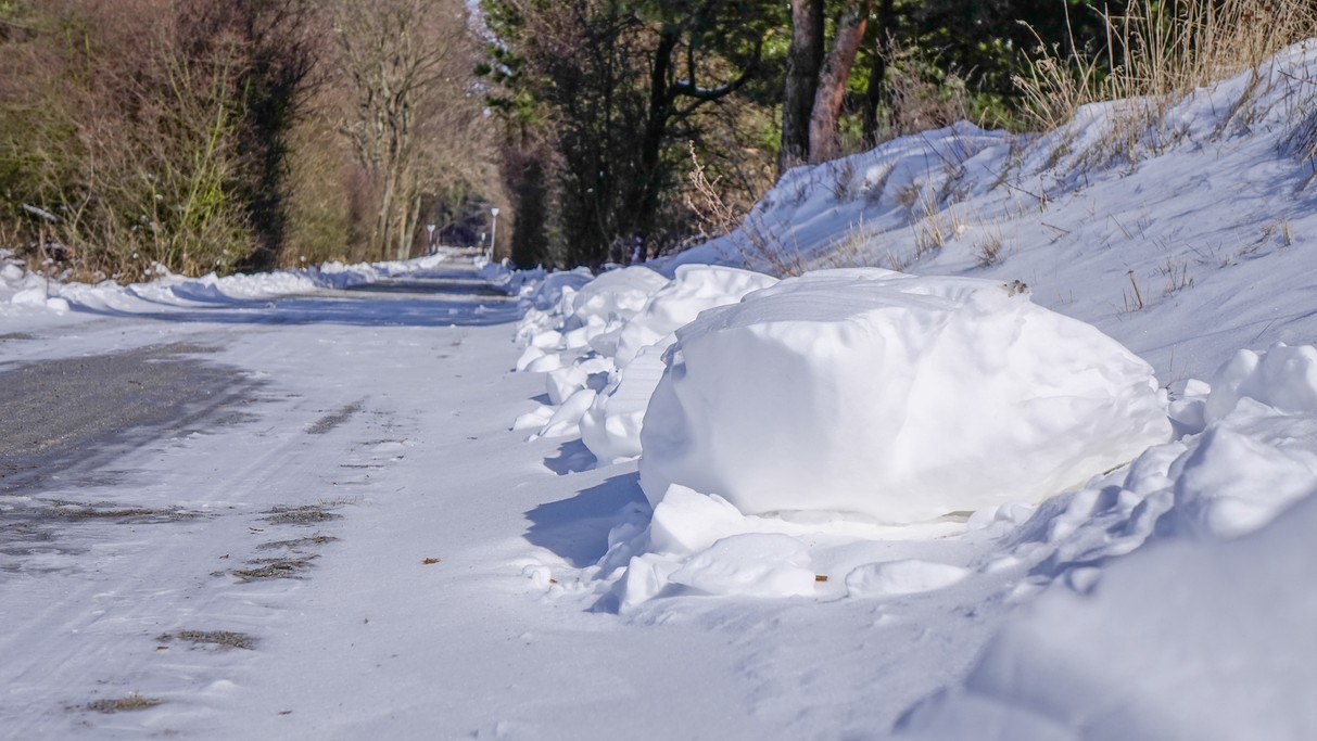 Marzec w obiektywie - zdjęcie 28