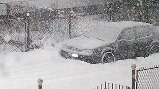 16.01.2021 11:00 Tyle śniegu leży już na Żuławach. Tylko ostatniej doby dosypało go ćwierć metra [ZDJĘCIA]