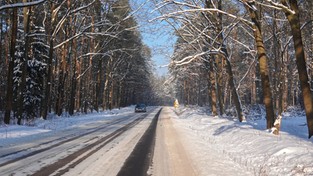 19.01.2021 00:00 Na lodowym szlaku