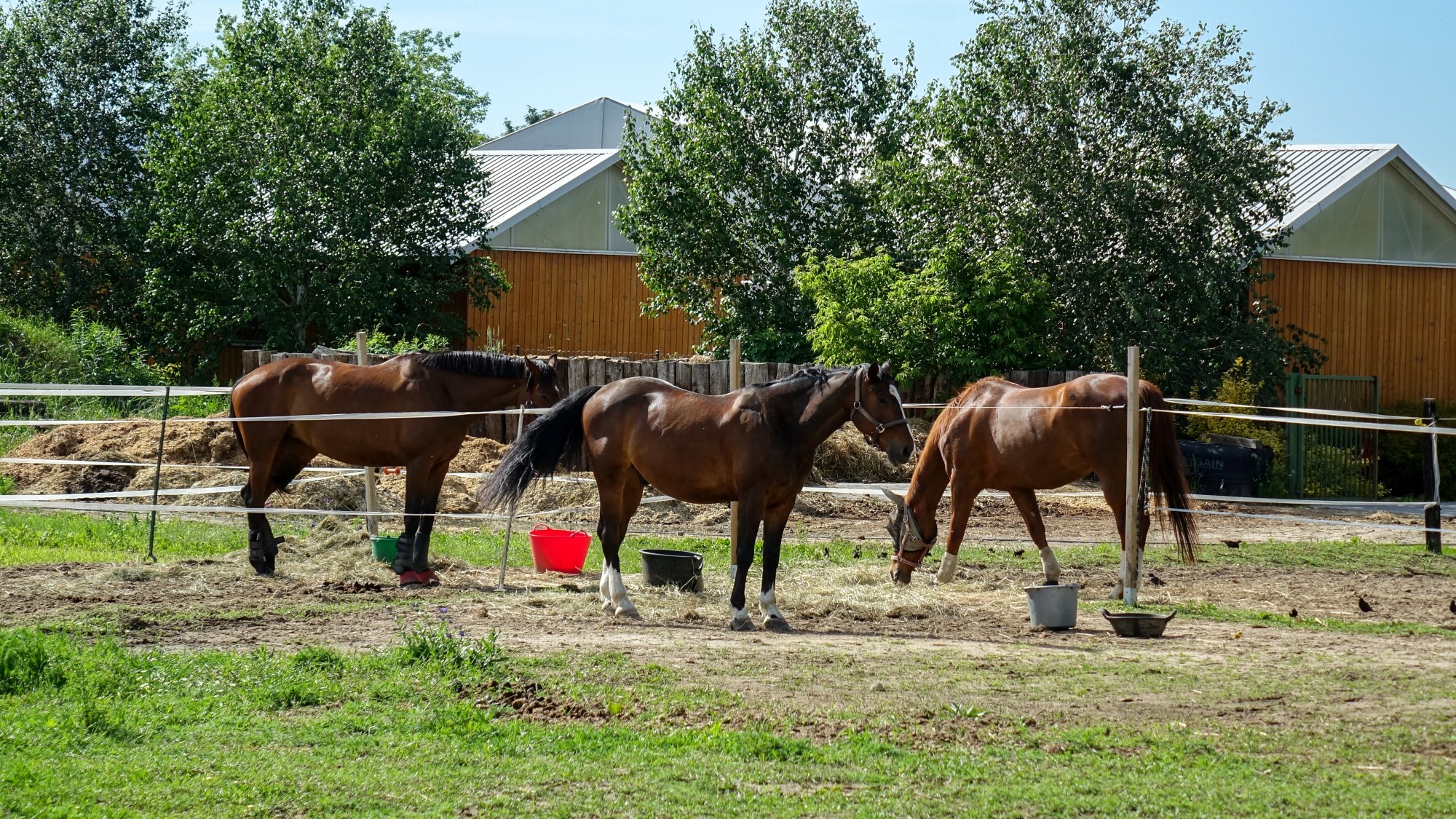Maj w obiektywie - zdjęcie 6