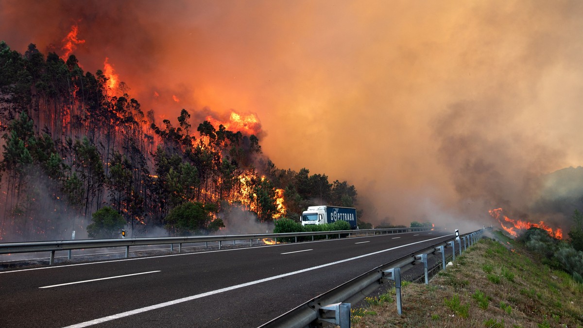 Portugalia walczy z pożarami. Ogień w turystycznych regionach. Polskie MSZ ostrzega