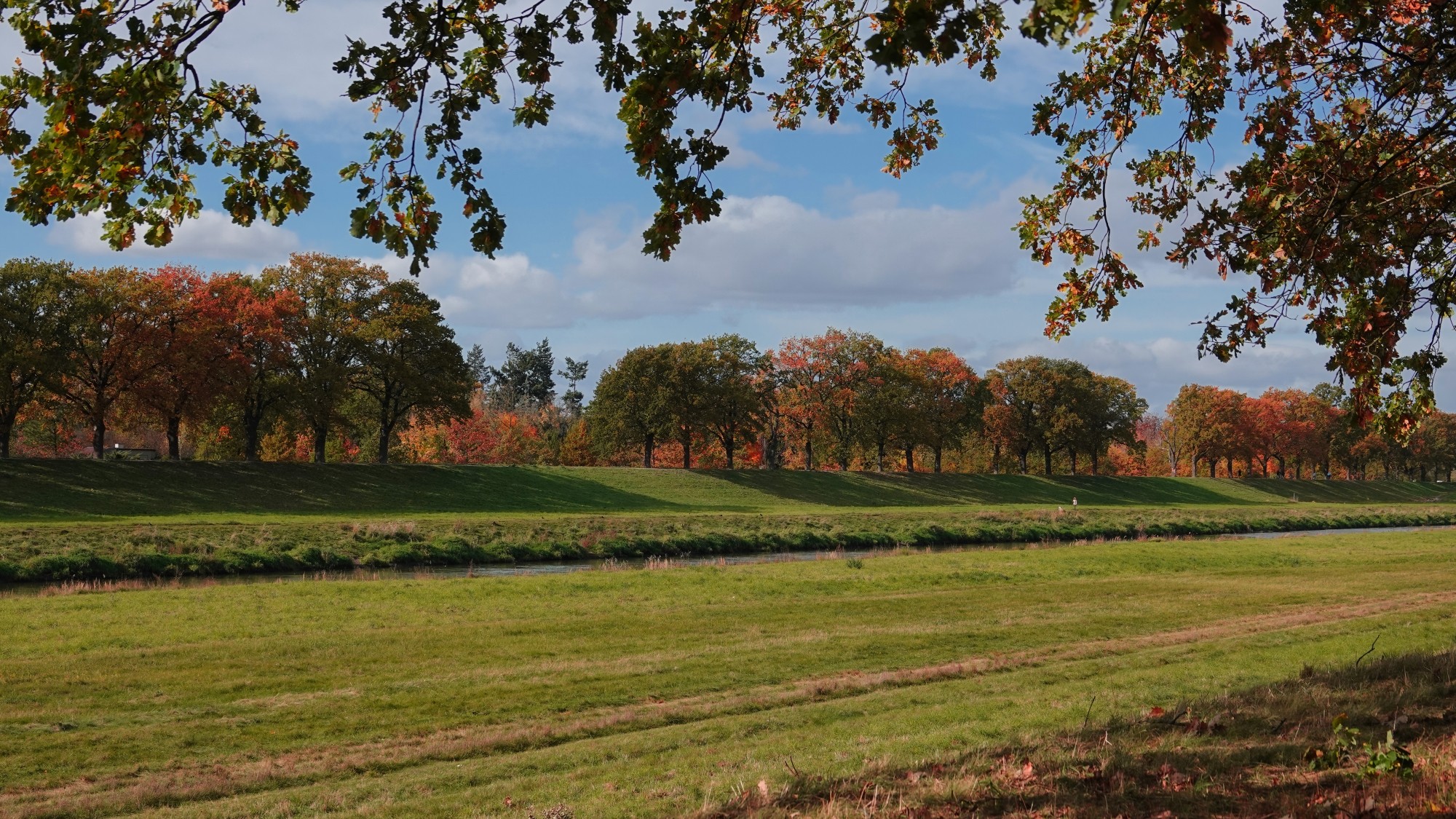 Jesienne klimaty - zdjęcie 16