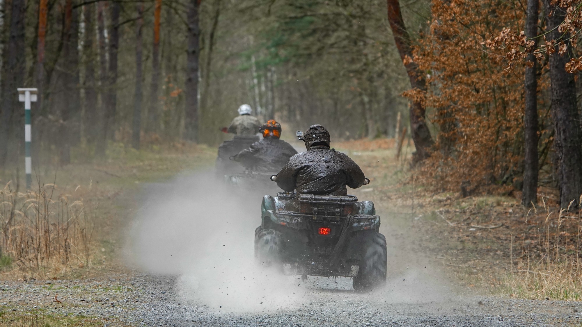 Marzec w obiektywie - zdjęcie 68