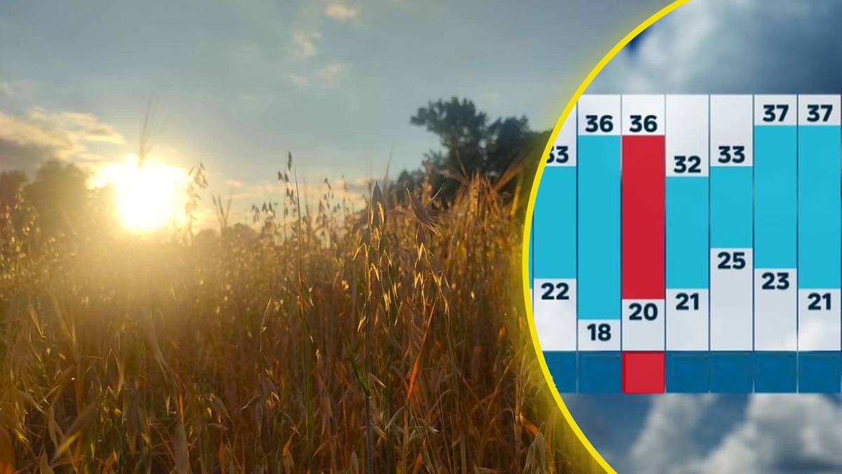 Ekstremalne upały szybko nie ustąpią. Długoterminowa prognoza