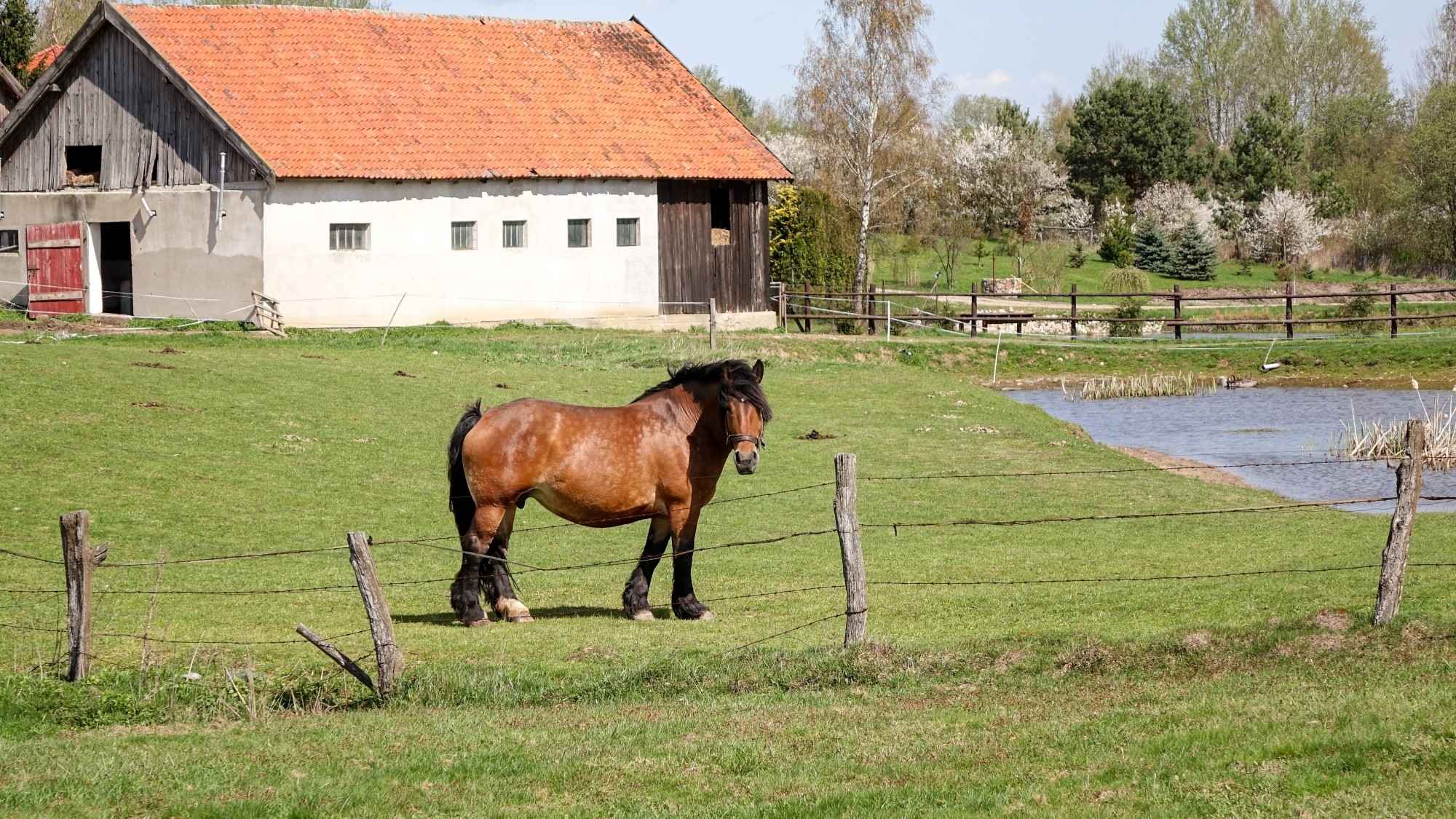 Mazury wiosną - zdjęcie 9