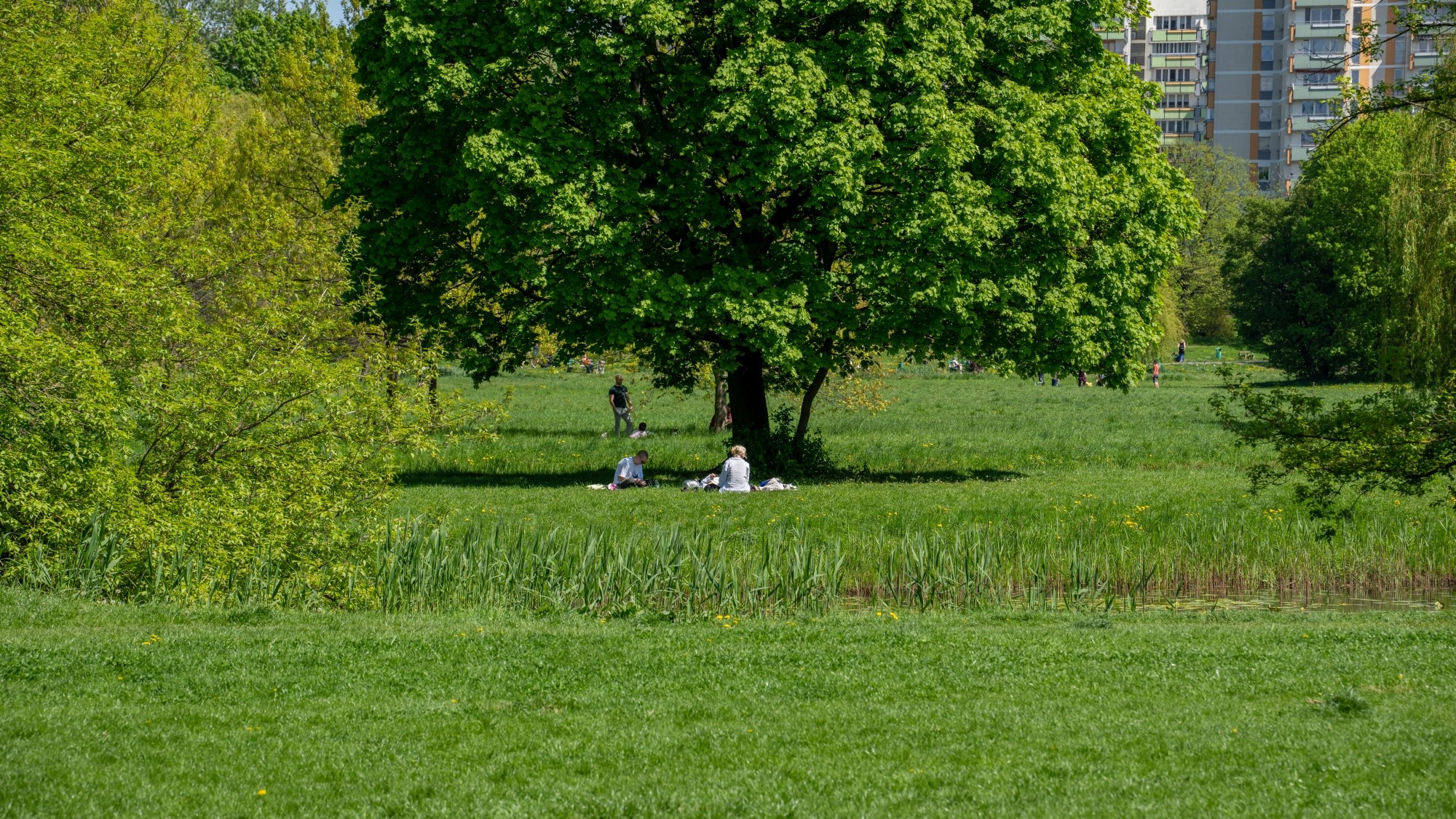 Wiosenna opowieść - zdjęcie 22