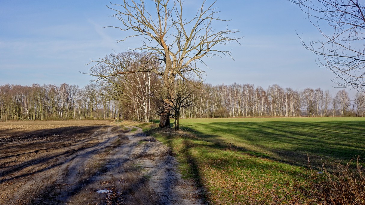 Grudzień w obiektywie - zdjęcie 15