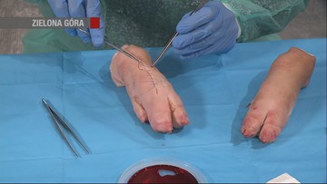 Rywalizują na wieprzowych nóżkach. Mistrzostwa Polski w Szyciu Chirurgicznym