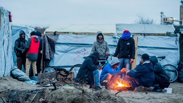 Coraz więcej wniosków o nadanie statusu uchodźcy w Polsce