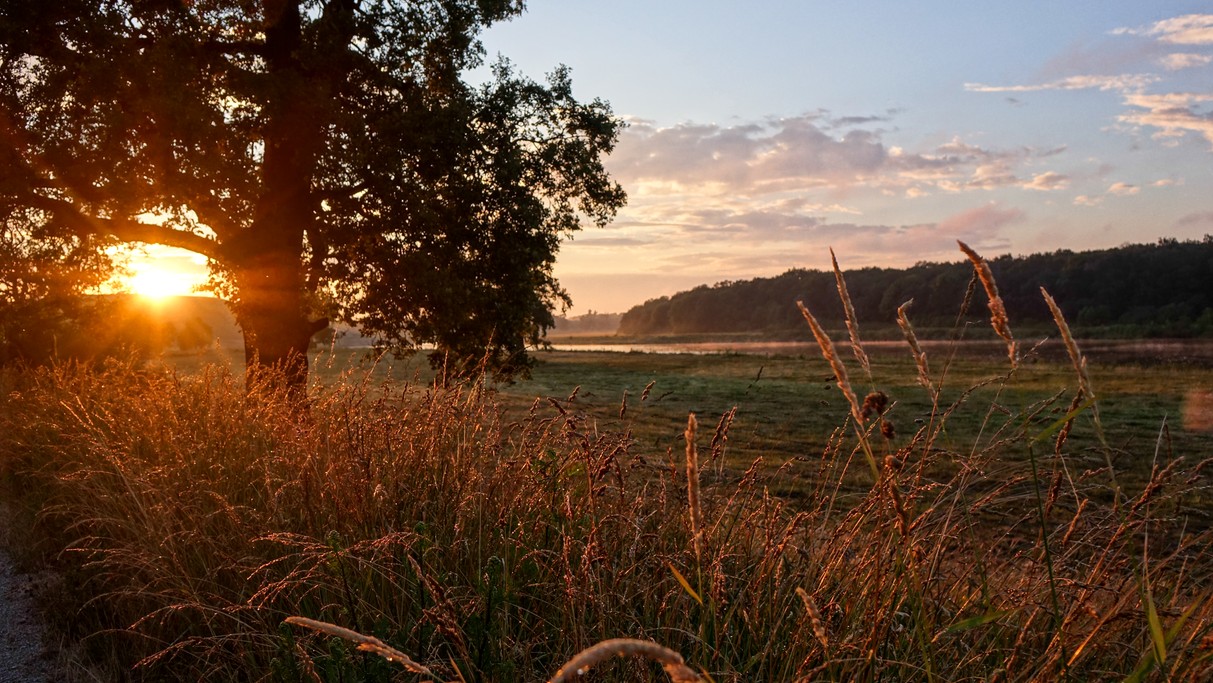 Czerwiec w obiektywie - zdjęcie 13