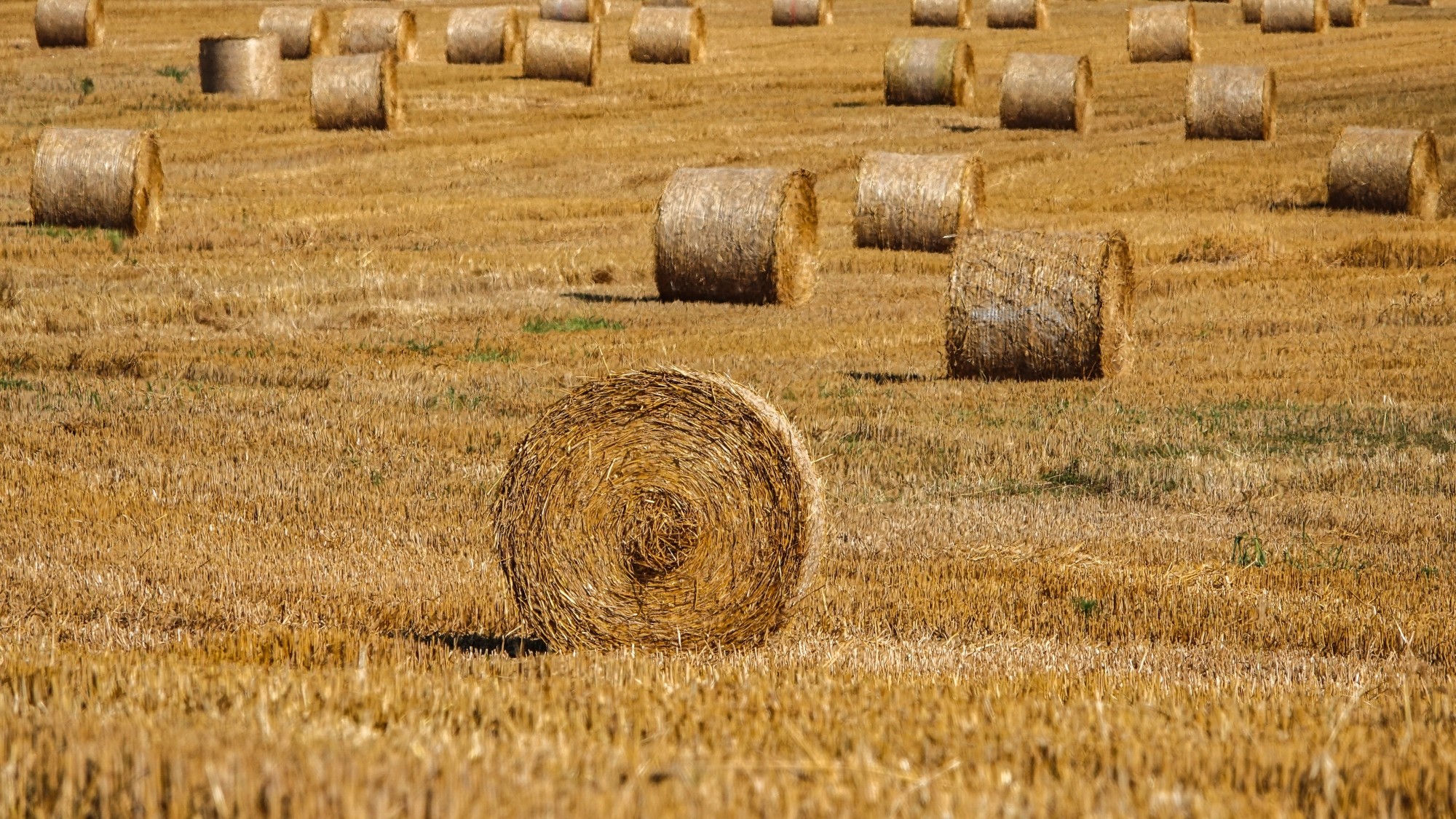 100 najpiękniejszych zdjęć 2020 roku - zdjęcie 5